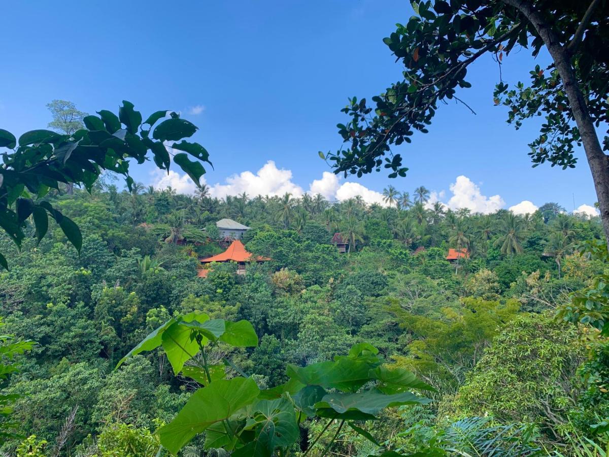 Kepuh Hébergement de vacances Singaraja