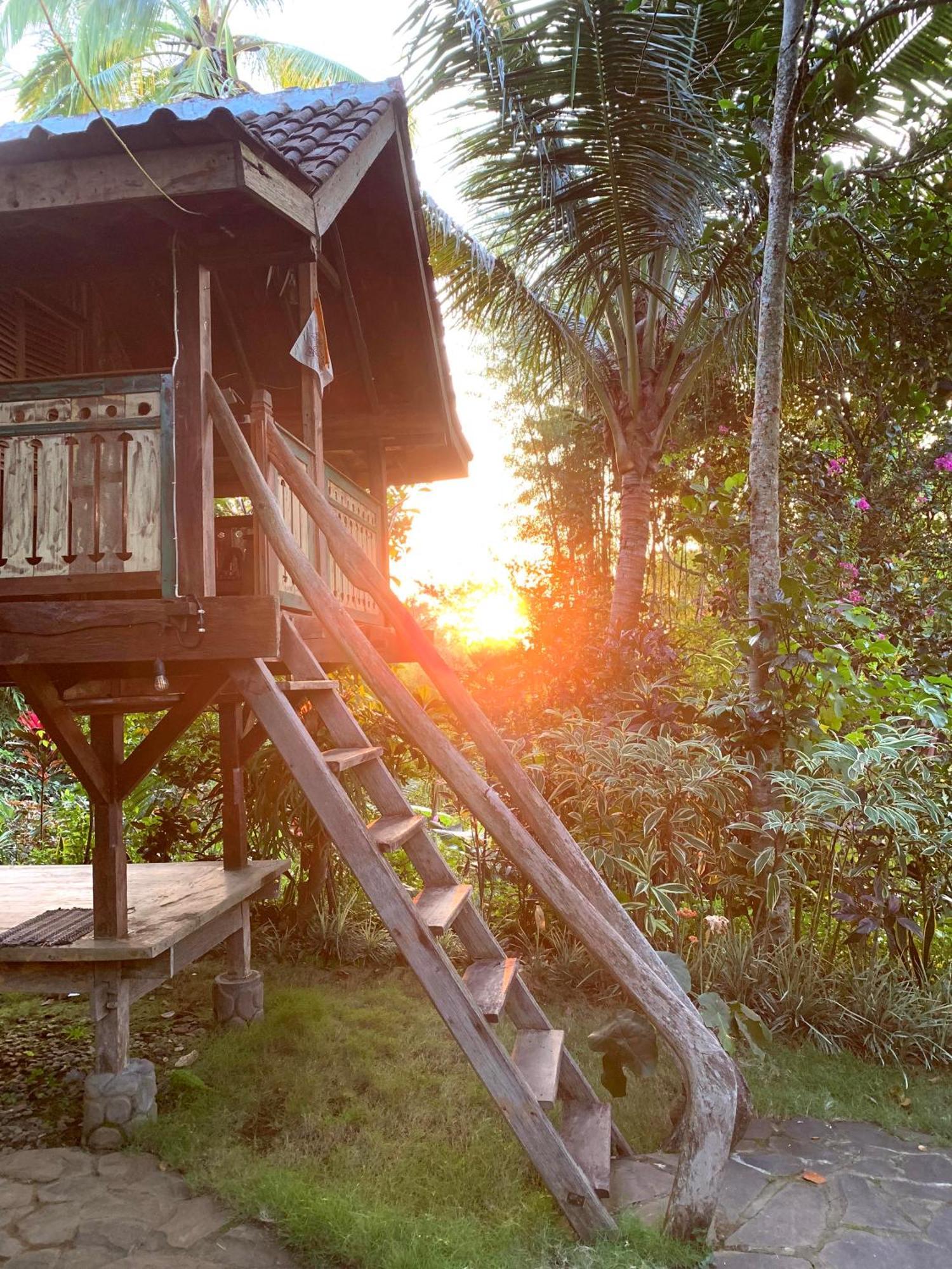 Kepuh Hébergement de vacances